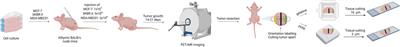 Methodological aspects of correlative, multimodal, multiparametric breast cancer imaging: from data acquisition to image processing for AI-based radioproteomics in a preclinical setting